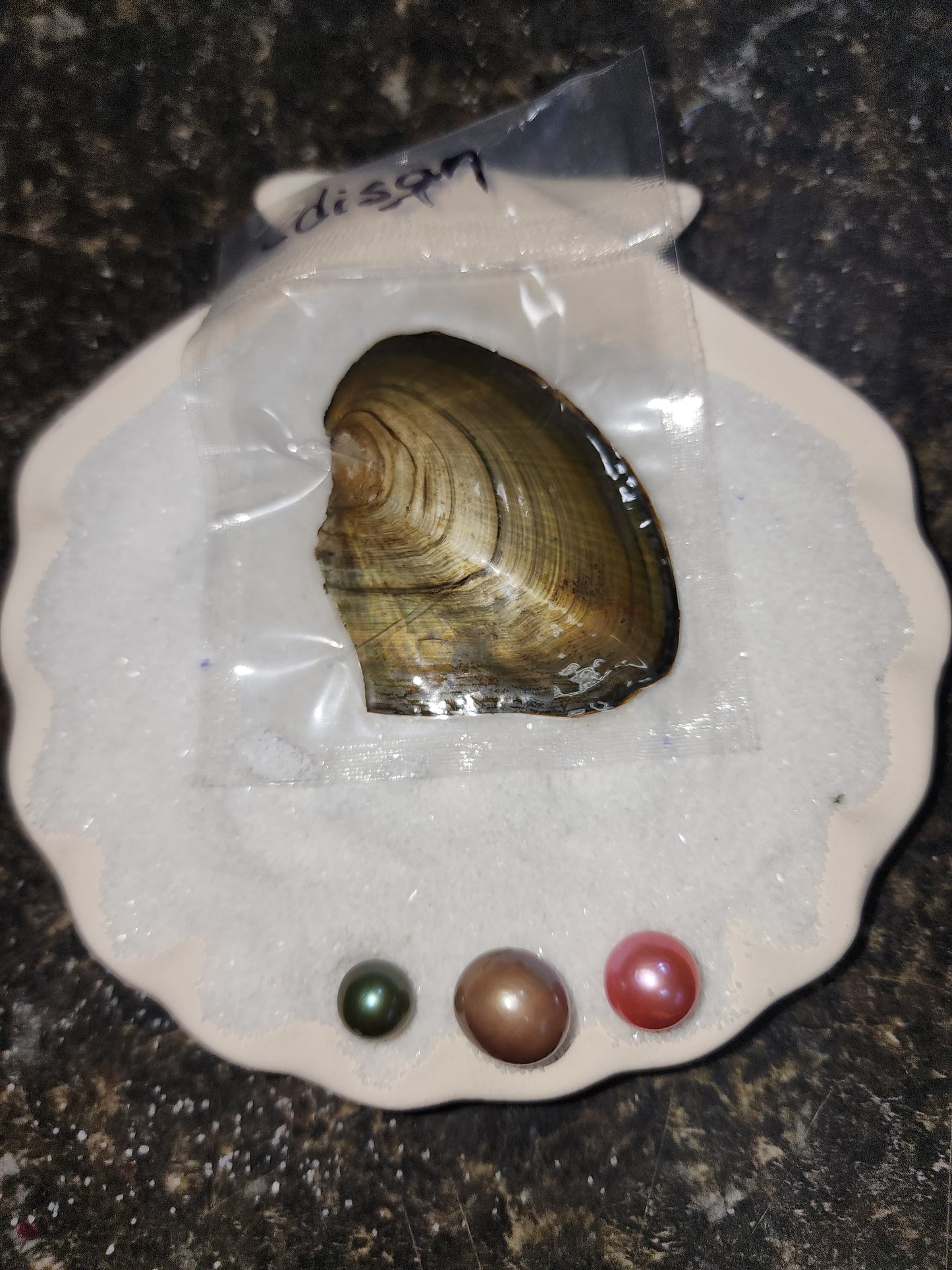 EDISON OYSTER
