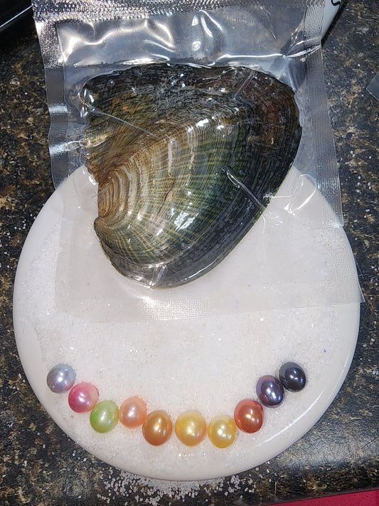 MONSTER OYSTER